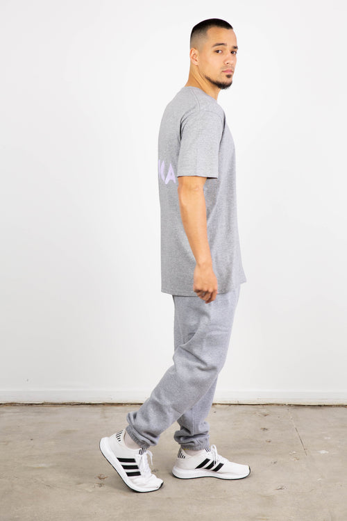 DENZEL T-SHIRT GREY